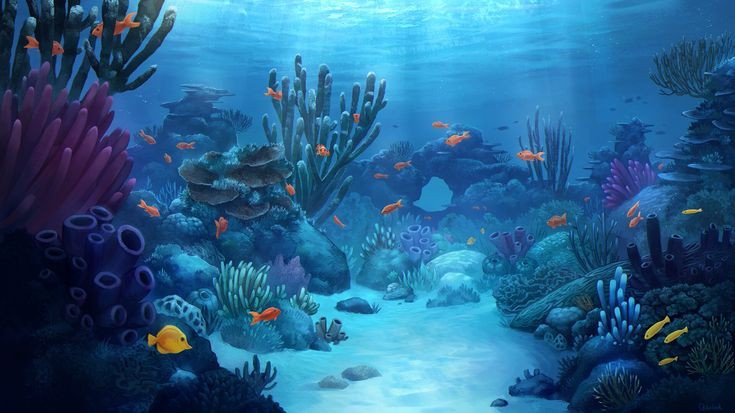 Hd Underwater wallpaper Desktop