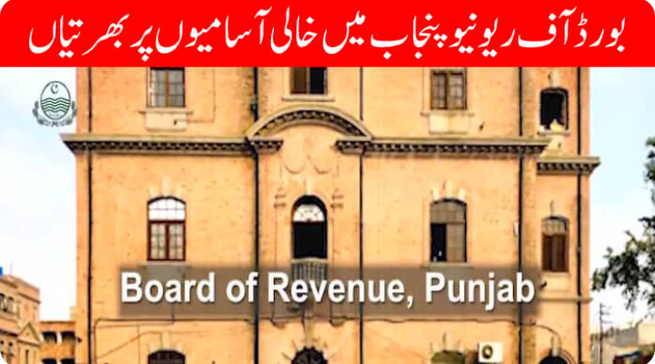 Board of Revenue Punjab Jobs 2024 BOR (135+ Seats)
