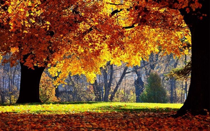 Desktop Wallpaper Of Autumn 