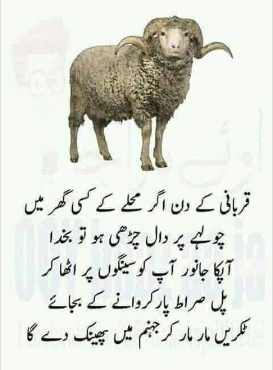 Eid Ul-Adha poetry
