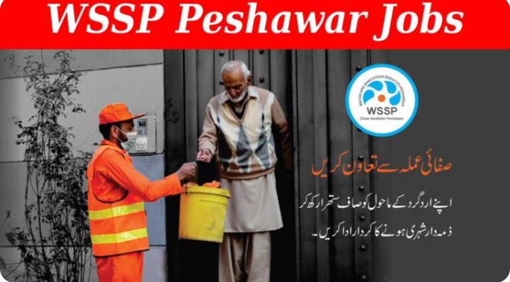 WSSP Peshawar Jobs 2024 | Water and Sanitation Services Company