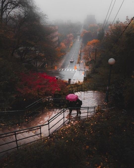 Autumn Cozy Rainy Dpz