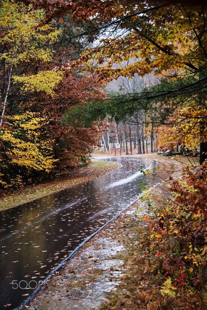Autumn Cozy Rainy Dpz