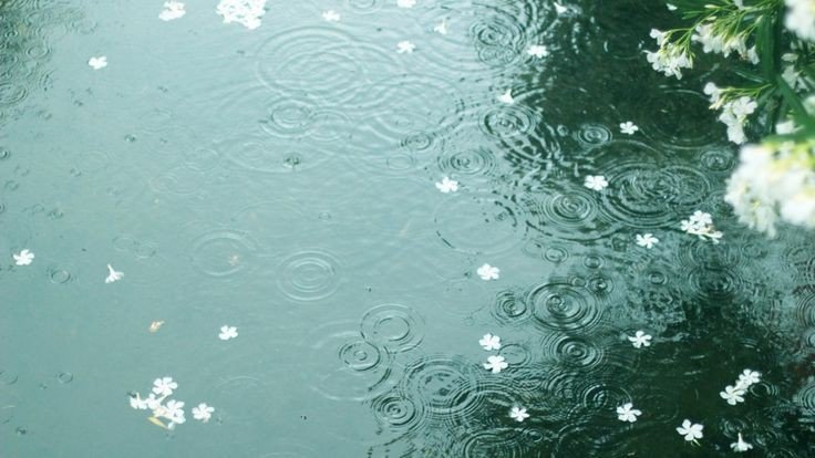 Wallpaper Desktop Of Rain