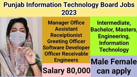 Punjab Information Technology Board Jobs 2025