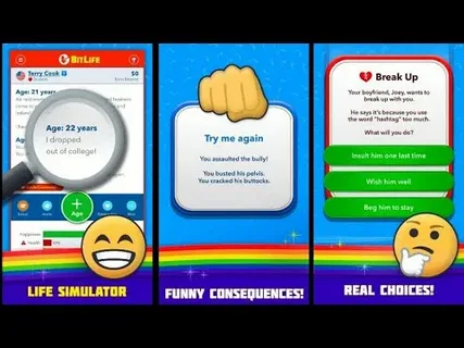 How To Make The Most Money In bitlife mod apk